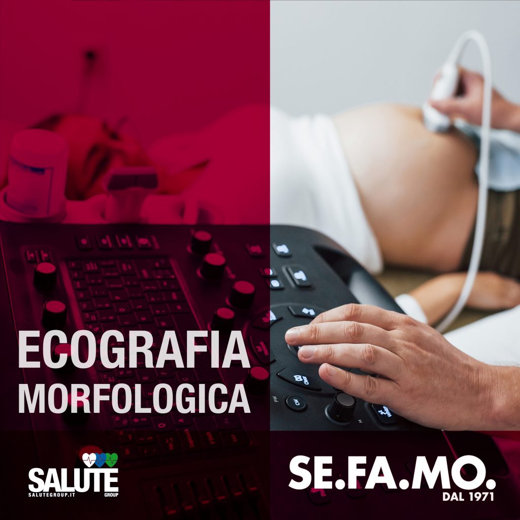 morfologica in gravidanza cosa sapere quando farla