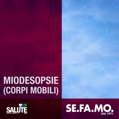 Corpi mobili vitreali, filamenti e macchie nell’occhio